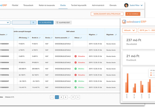 Custom Software Development Package Example: Salesboard ERP