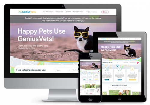 Web Design Package Example: Pets Care Education Website