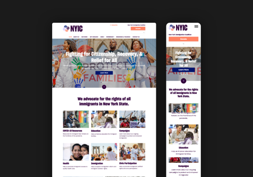 Web Development Package Example: New York Immigration Coalition
