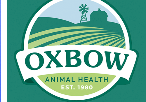Marketing Strategy Package Example: Oxbow Captured 47% More Top Rankings!