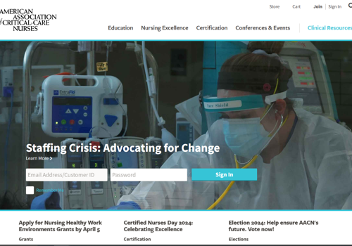 IT Managed Services Package Example: AACN  - Portal Enhancement and Support