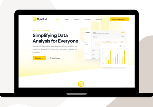Web Design Package Example: Optimod - Web development