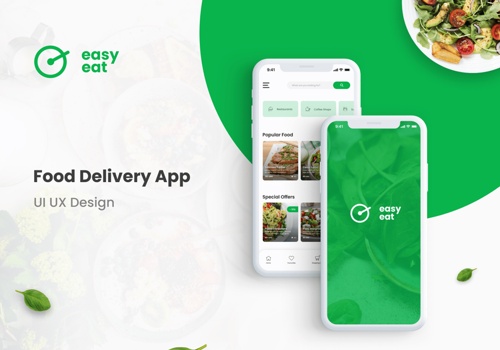 Web Design Package Example: Eat Easy Food App