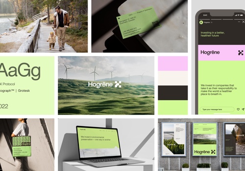 Branding Package Example: Hogrene | Branding, Website Design, Design System