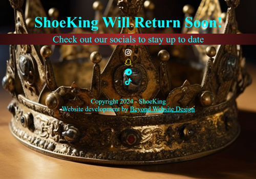 Ecommerce Marketing Package Example: ShoeKing Store