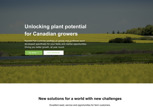 Web Design Package Example: Nuseed Global