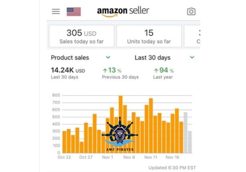 Ecommerce Marketing Package Example: Amazon.com: Achieving 14.24K Sales in 30 Days