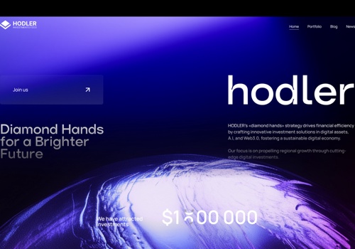 Web Design Package Example: Hodler