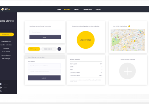 Web Design Package Example: XXSIM