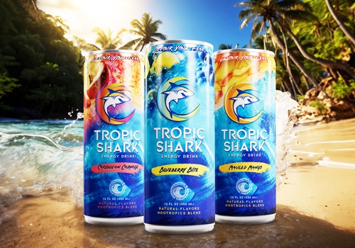 Branding Package Example: Tropic Shark Energy Drink