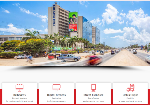 Web Design Package Example: Web Design for a1outdoor.co.tz