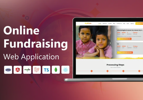 Custom Software Development Package Example: Fundraising web application