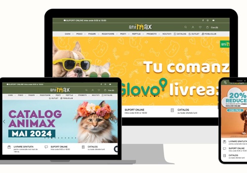 Web Design Package Example: Animax.ro: Magento to Shopify Migration