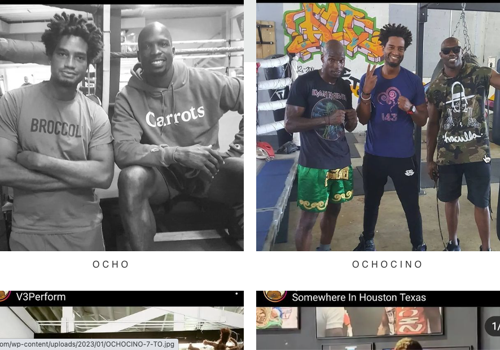 Search Engine Optimization Package Example: Fast WordPress Site for Search Campaigns