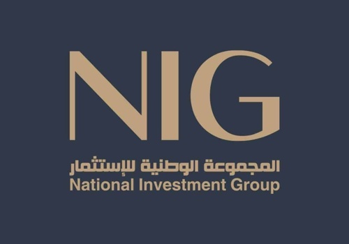 Marketing Strategy Package Example: NIG Development