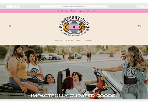 Web Design Package Example: Blueberry Moon - Ecommerce website