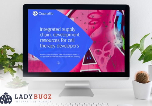 Web Design Package Example: CTDMO Website Design