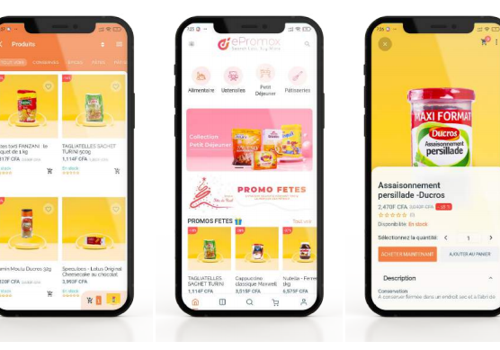 Mobile App Development Package Example: EPROMAX APPLICATION