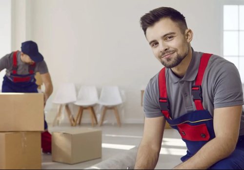 Logo Package Example: Turnkey brand development for a moving company