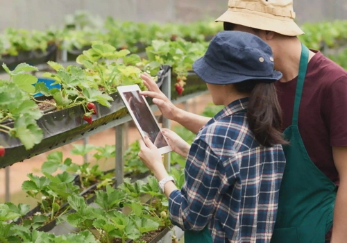 Cloud Consulting & SI Package Example: AWS Ecosystem utilization for digital agriculture