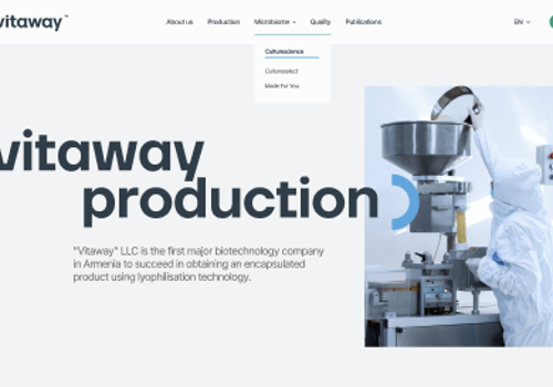 Web Development Package Example: Vitaway Production