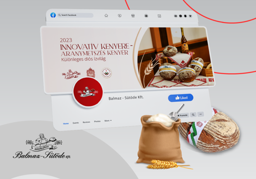 Branding Package Example: Award-Winning Brand Development