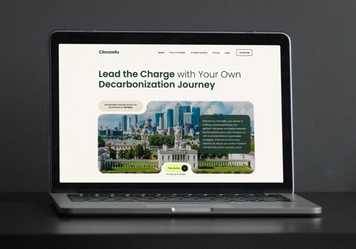 Web Design Package Example: Dashboard for Decarbonization