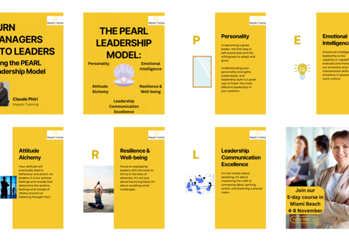 Social Media Marketing Package Example: LinkedIn Management - Professional Services