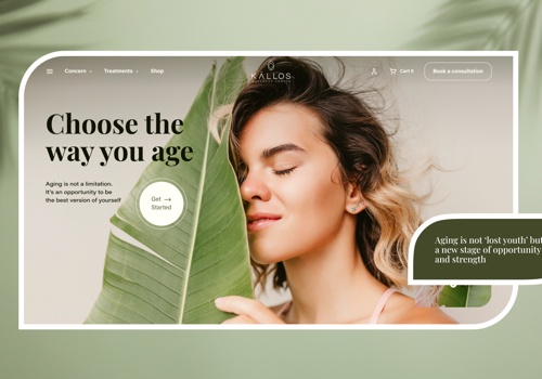 Web Design Package Example: African Wellness Center SPA Website