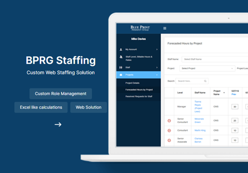Custom Software Development Package Example: BluePrint Staffing: Custom Web Staffing Solution