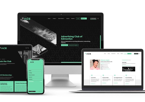 Web Design Package Example: ACE Website