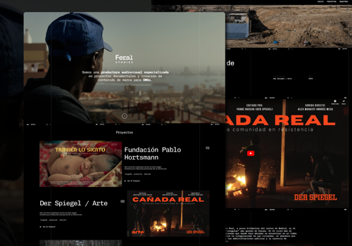 Web Design Package Example: Feral Stories - Audiovisual Production Company