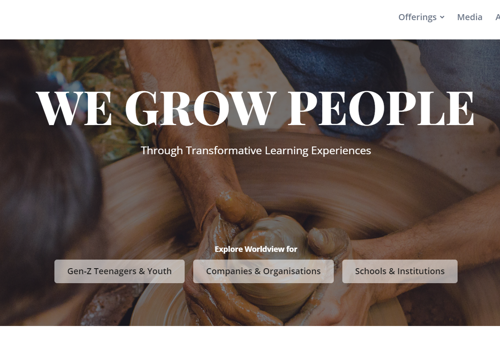 Web Design Package Example: World View Global - Website