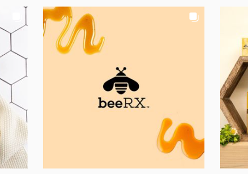 Branding Package Example: Bee RX Branding