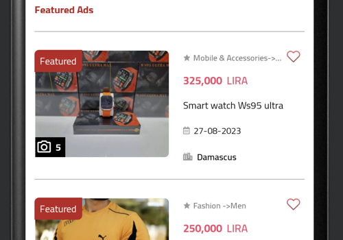 Web Development Package Example: Website and mobile application development