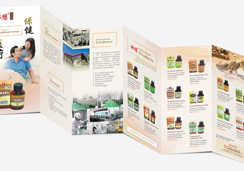 Graphic Design Package Example: Brochure design for Chinese supplement products