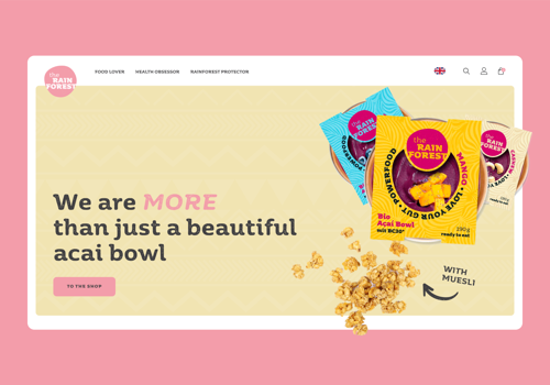 Digital Strategy Package Example: The Rainforest Company