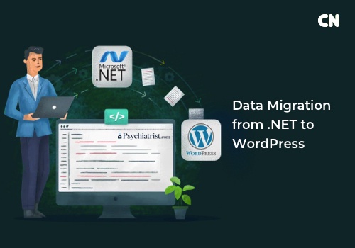 Web Development Package Example: Data Migration from .NET to WordPress