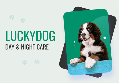 Web Design Package Example: Luckydog - Doggy Daycare & Boarding