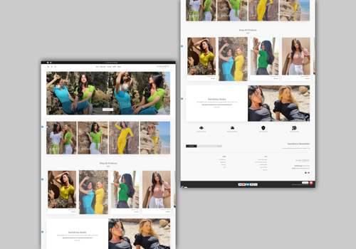 Web Design Package Example: Vered Swim Dress E-commerce Website