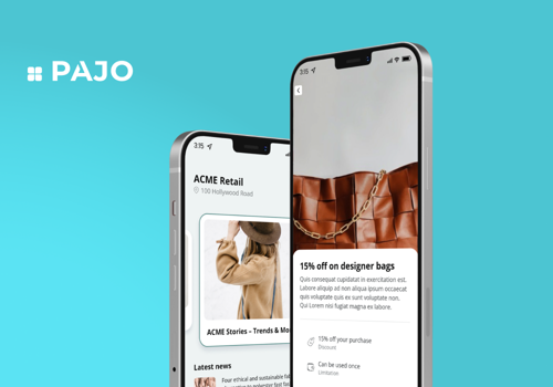 Custom Software Development Package Example: PAJO - Flutter web app for marketing tools suite