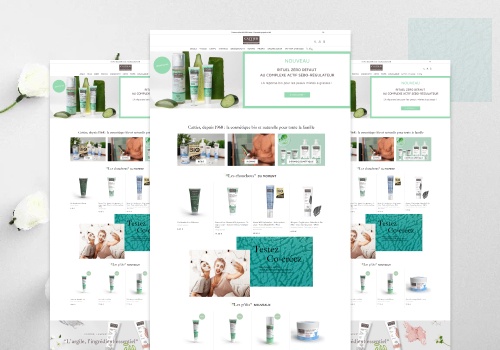 Web Development Package Example: Cattier Paris Official Site