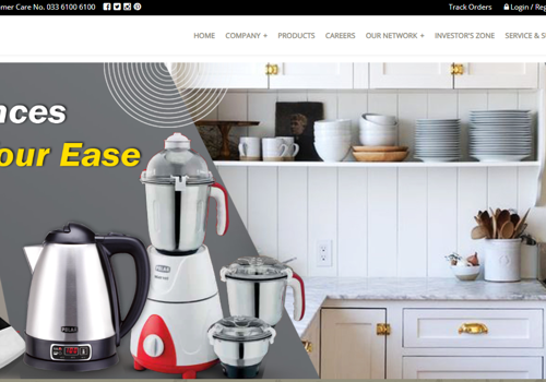 Digital Strategy Package Example: Polar Electric