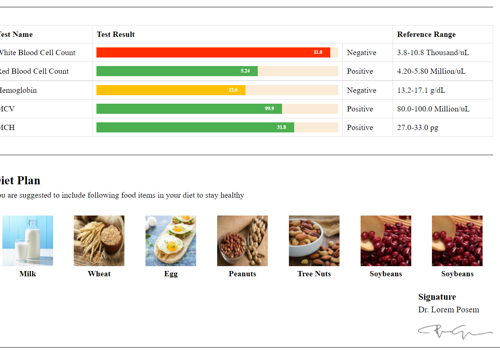 Custom Software Development Package Example: Blood Test Report Generation