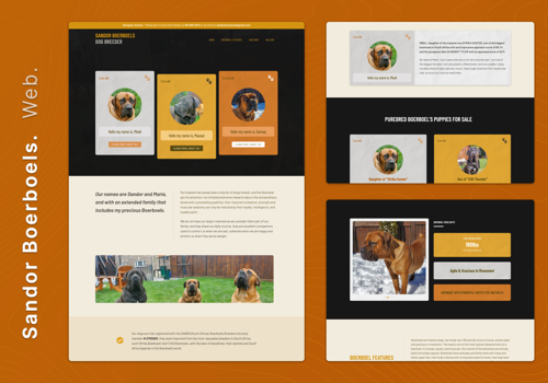 Web Design Package Example: Sandor Boerboels - Dog Breeding