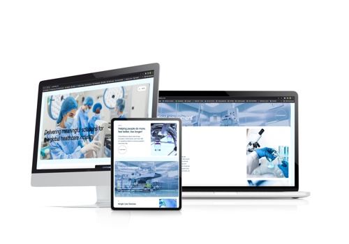 Web Design Package Example: Pulse Project of Identity & website Design