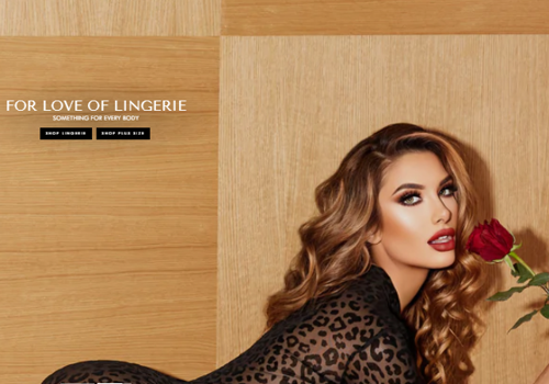 Search Engine Optimization Package Example: SEO Marketing Campaign for Ecommerce Store