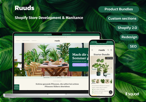 Custom Software Development Package Example: eCommerce Website Development & Maintaince
