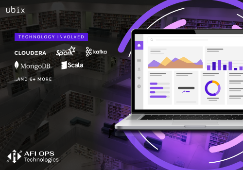 BI & Big Data Consulting & SI Package Example: Enhancing Analytics with Streamlined API