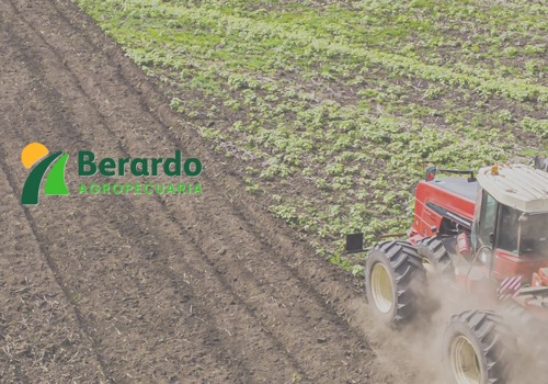 Custom Software Development Package Example: Agro: Crecimiento y optimización de recursos